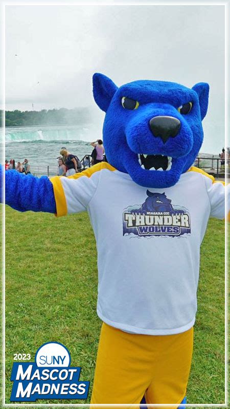 From the Sidelines to the Spotlight: The Role of the SUNY Purchase Mascot in School Performances